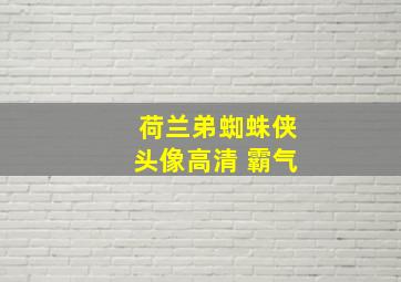 荷兰弟蜘蛛侠头像高清 霸气